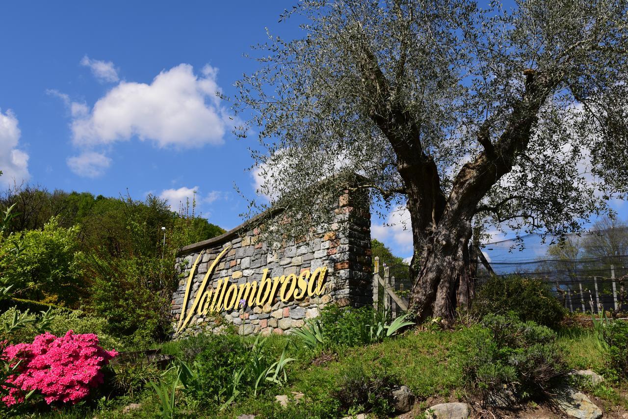 Wine & Art Relais Vallombrosa Castelrotto Exterior foto